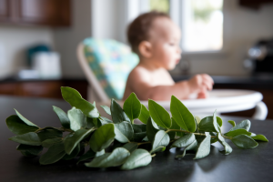 Brède Mafane : Est-elle Toxique pour Bébé ?
