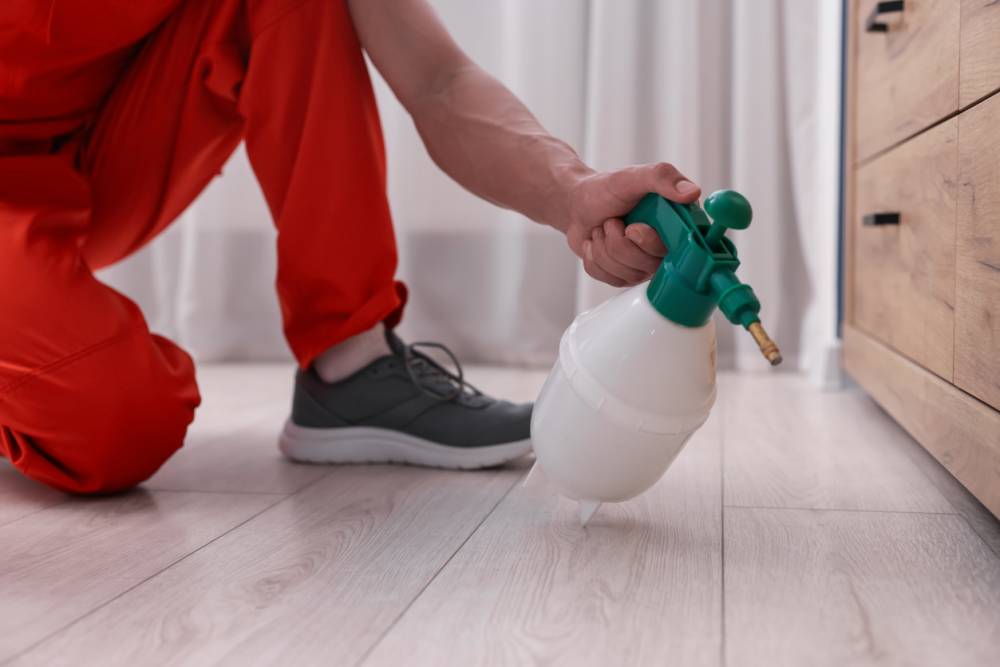 traitement anti-nuisible écologique